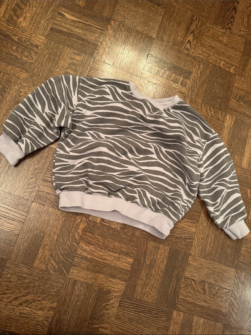 Zara Gray Zebra Print Sweatshirt size 2T